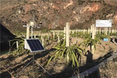 農(nóng)業(yè)氣象站如何做好防雷工作？