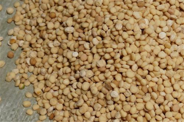 種子基地如何使用農(nóng)業(yè)氣象站來提高種子基地的產(chǎn)量？