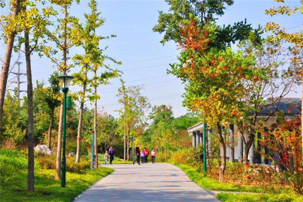 景區(qū)氣象站.jpg 景區(qū)氣象站.jpg