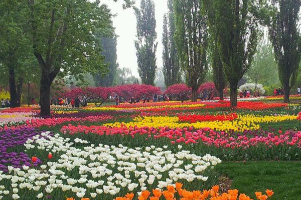 便攜式自動(dòng)氣象站 便攜式自動(dòng)氣象站