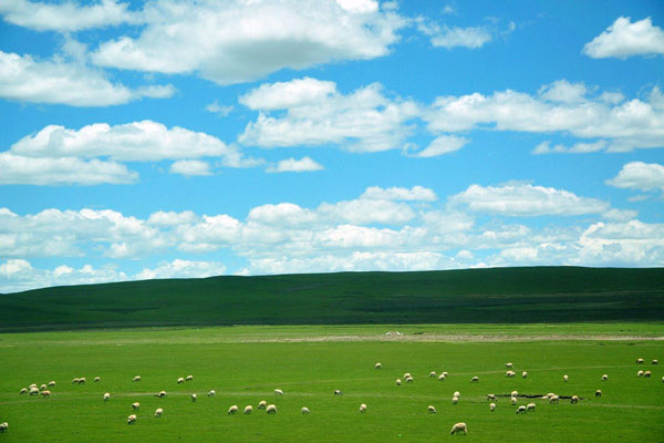 光伏太陽(yáng)能環(huán)境監(jiān)測(cè)系統(tǒng) 光伏太陽(yáng)能環(huán)境監(jiān)測(cè)系統(tǒng)