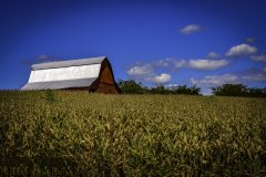 氣象站指的是什么？
