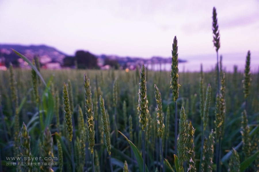 智能農(nóng)業(yè)的四情監(jiān)測(cè)系統(tǒng) 智能農(nóng)業(yè)的四情監(jiān)測(cè)系統(tǒng)